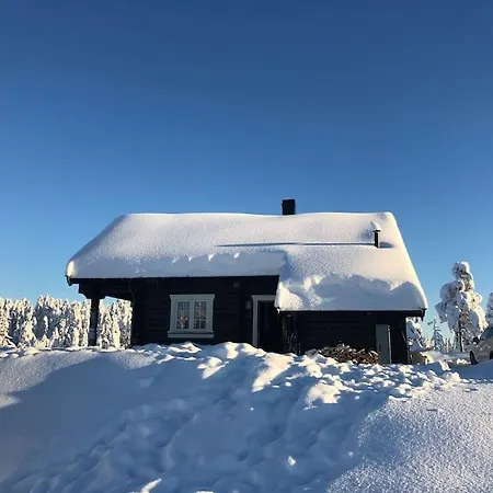 Delikat Tommerhytte Pa Blefjell