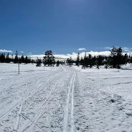 Delikat Tommerhytte Pa Blefjell * Flesberg