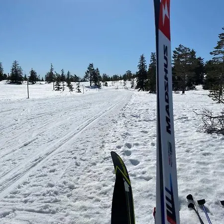 Delikat Tommerhytte Pa Blefjell Casa vacanze