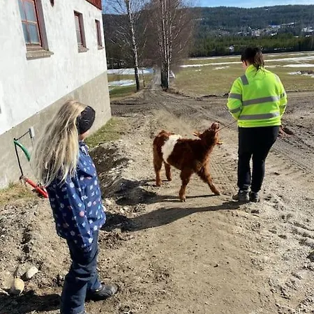 Casa vacanze Delikat Tommerhytte Pa Blefjell *