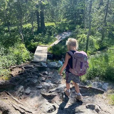 Delikat Tommerhytte Pa Blefjell *