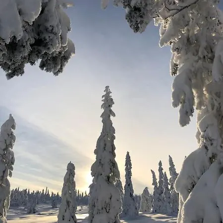 Delikat Tommerhytte Pa Blefjell Flesberg